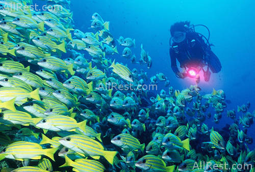 Full Moon Maldives 35